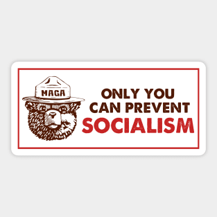 Only You Can Prevent Socialism ,Smokey The Bear Socialism Bumper Sticker